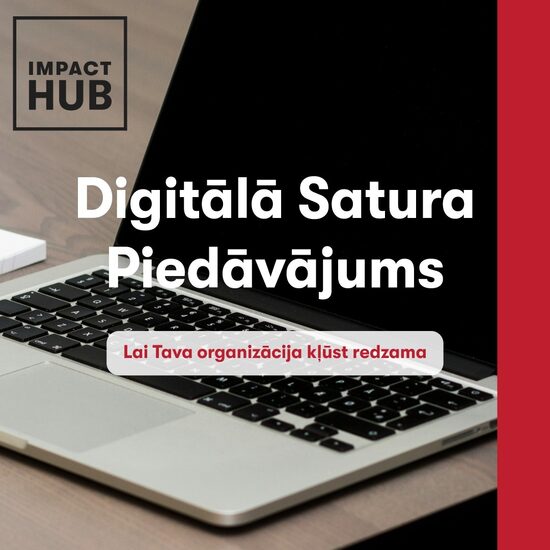 Konsultācija digitālajam mārketingam (30 min)